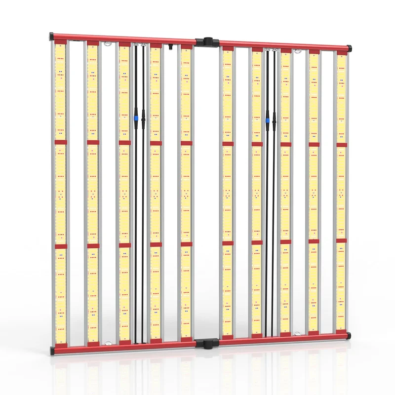 lightsdaddy363582