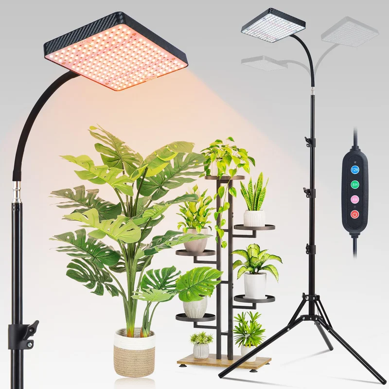 lightsdaddy378350