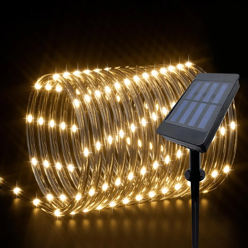 lightsdaddy379131