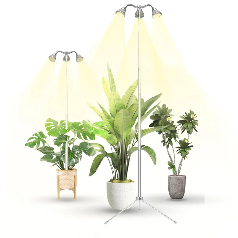 lightsdaddy383024