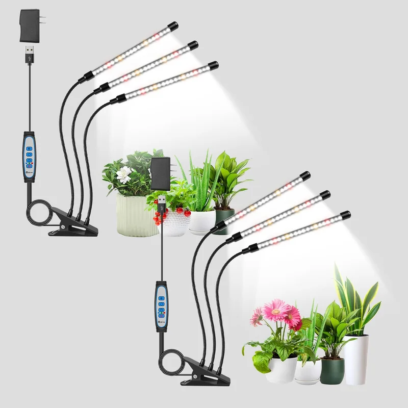 lightsdaddy385201