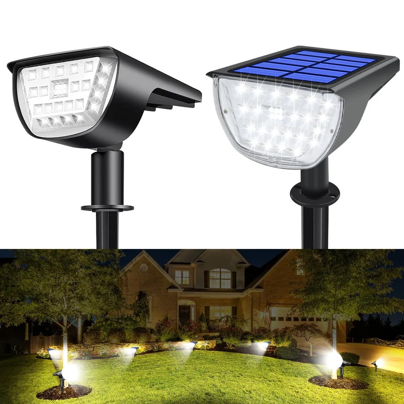 lightsdaddy388075