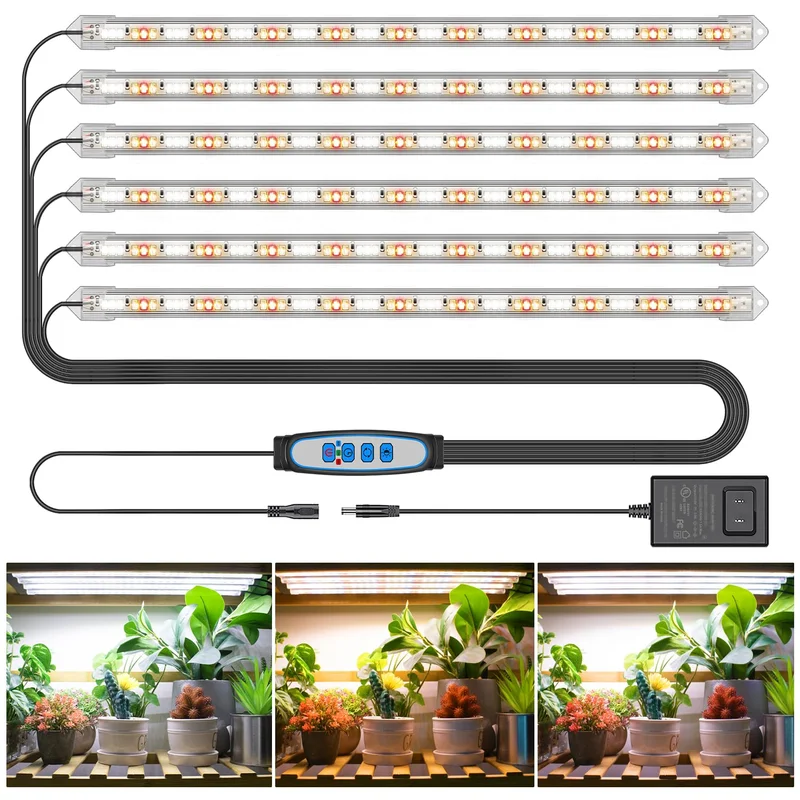 lightsdaddy401449