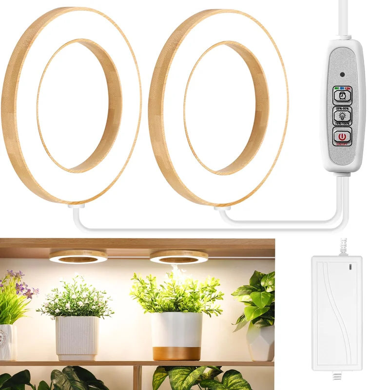 lightsdaddy405371