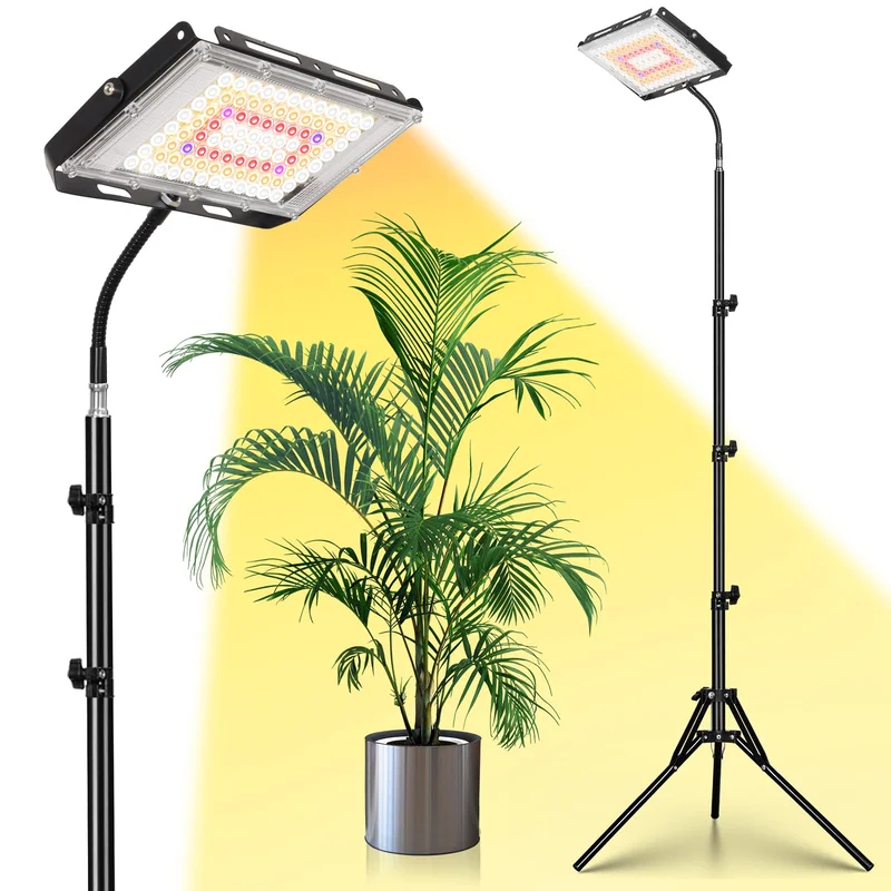lightsdaddy407152