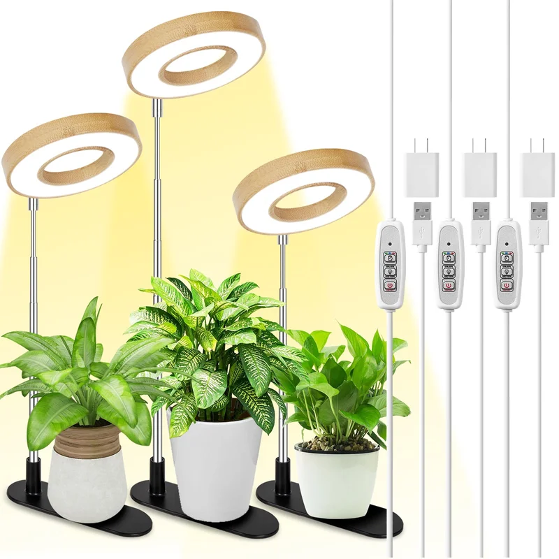 lightsdaddy407303