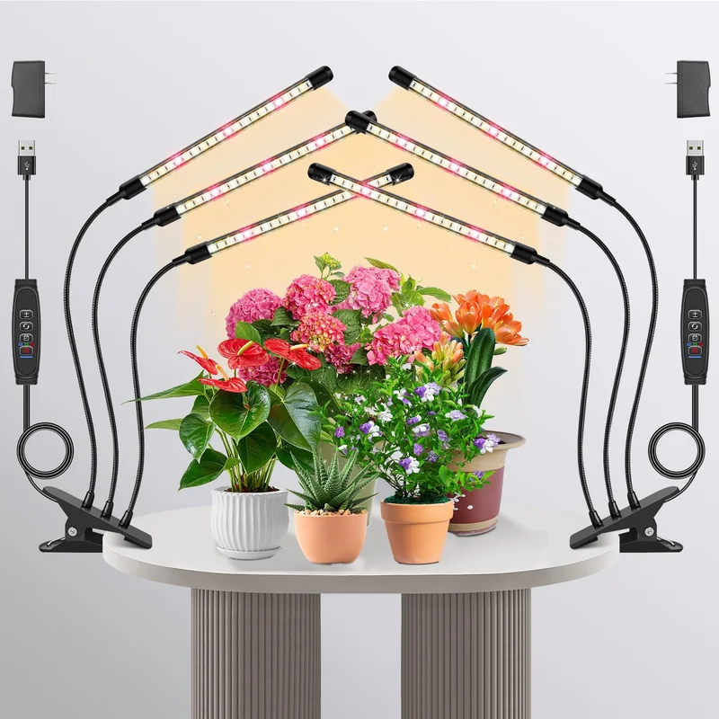 lightsdaddy408184