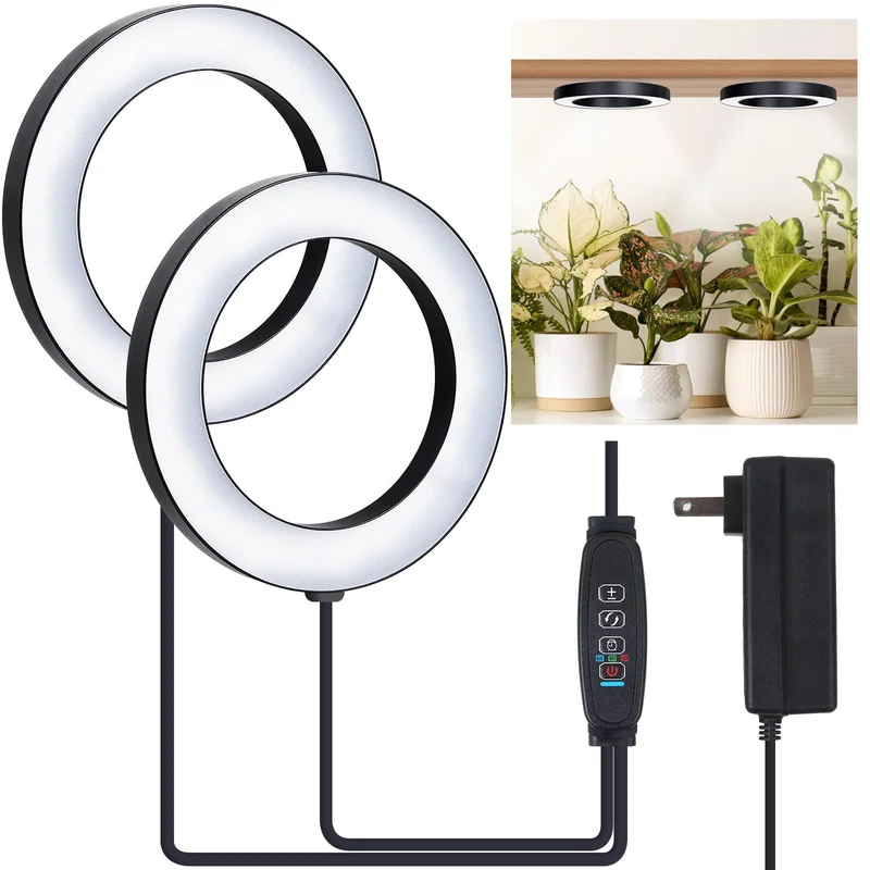 lightsdaddy408842