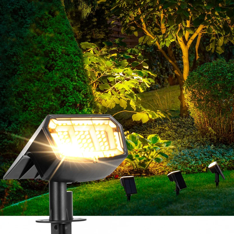 lightsdaddy413856