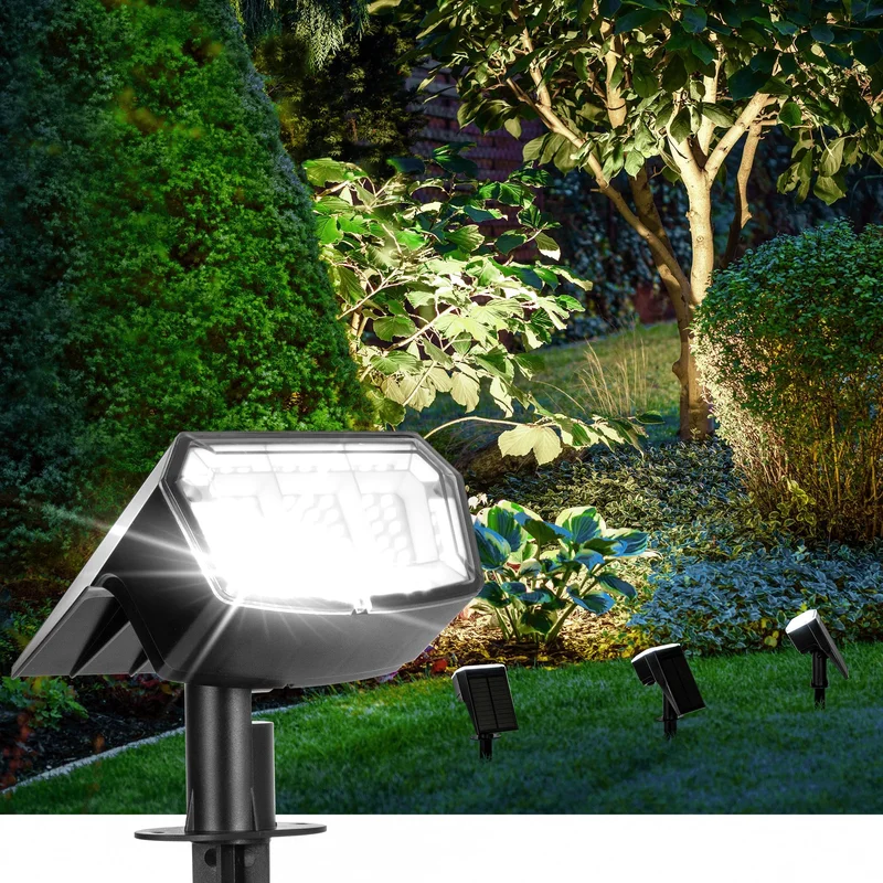 lightsdaddy414954