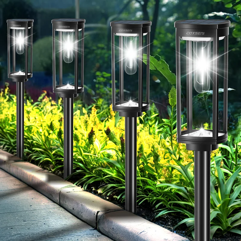 lightsdaddy429624