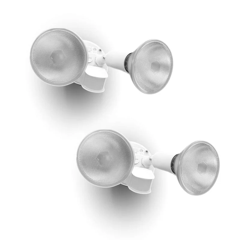 lightsdaddy430244