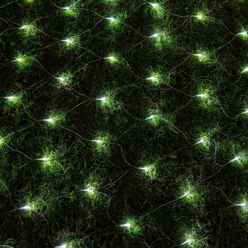 lightsdaddy431039