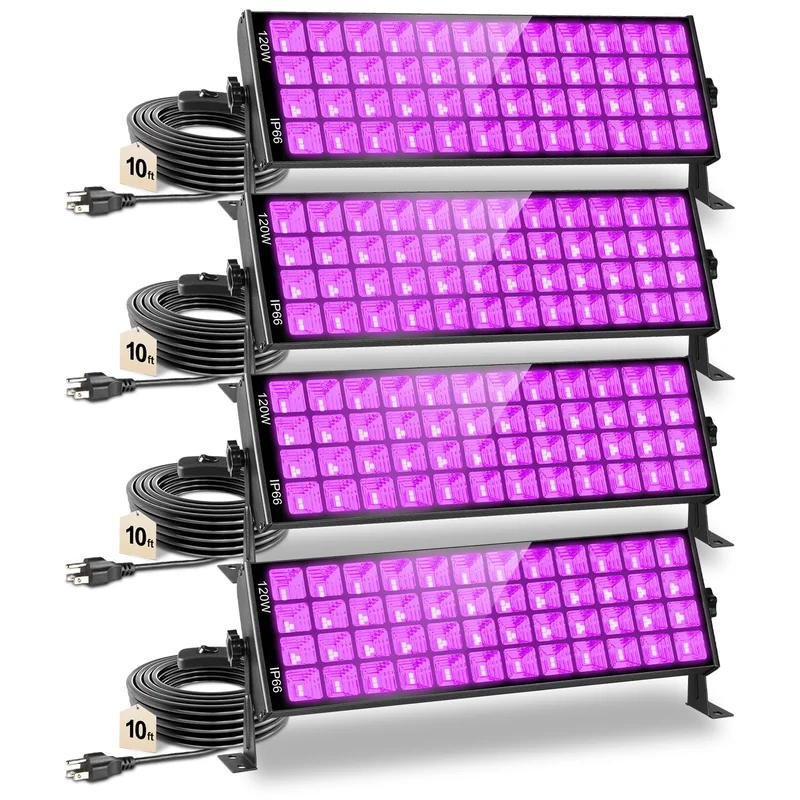 lightsdaddy441587