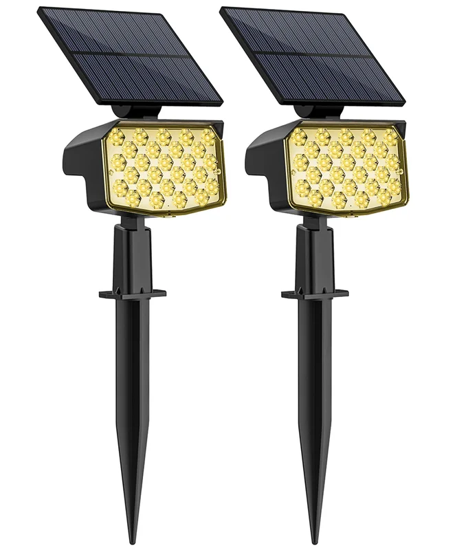 lightsdaddy443085