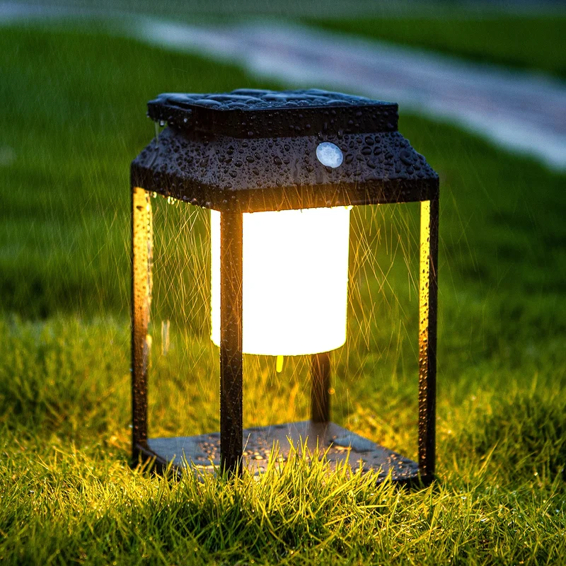 lightsdaddy449698