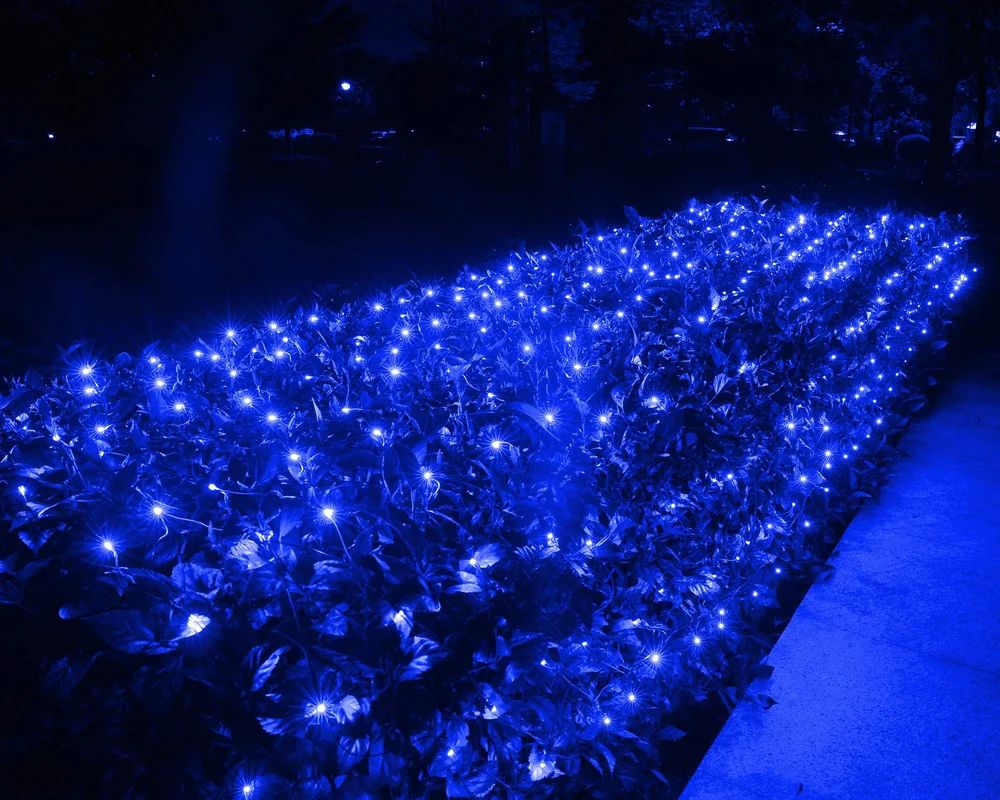 lightsdaddy454922