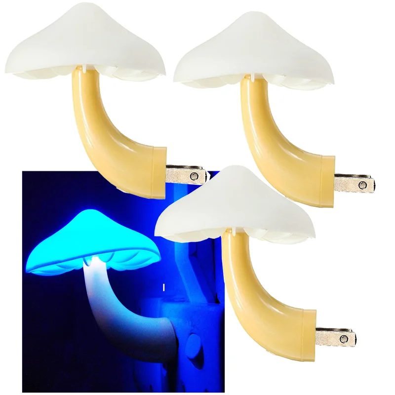 lightsdaddy466649