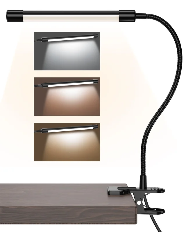 lightsdaddy478058