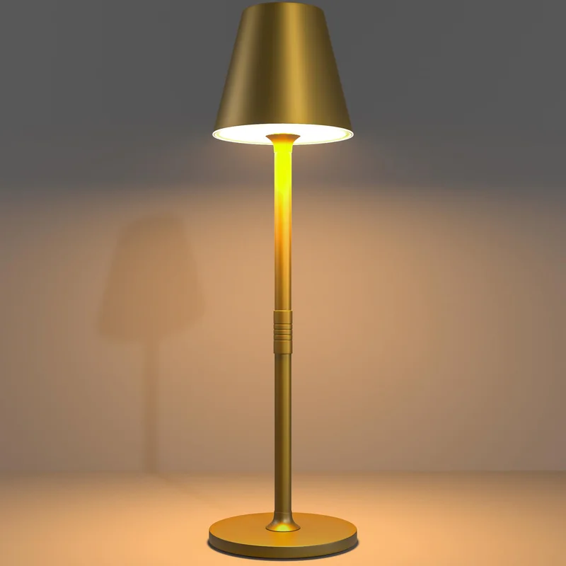 lightsdaddy480254