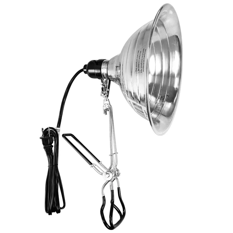 lightsdaddy484534
