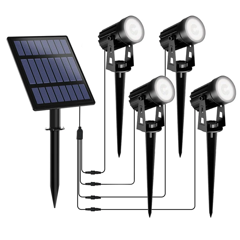 lightsdaddy493819