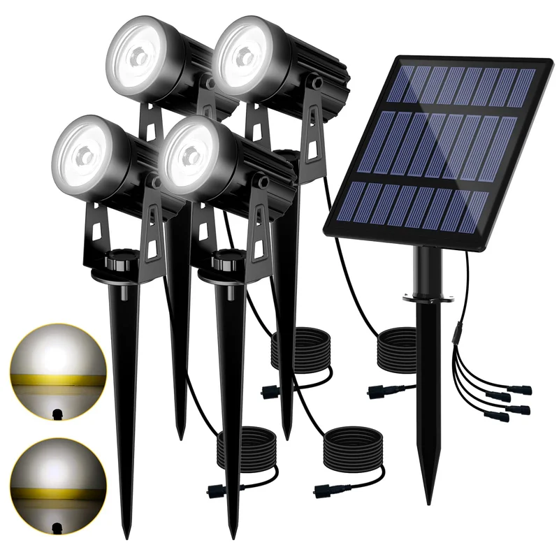 lightsdaddy498978