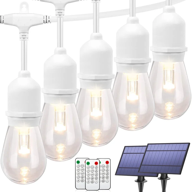 lightsdaddy499118