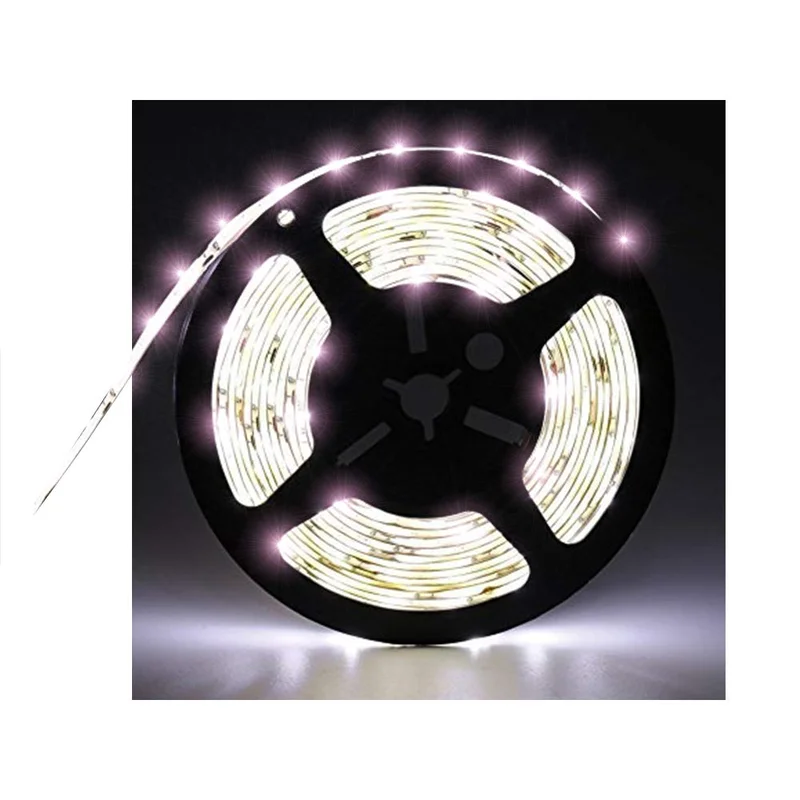 lightsdaddy499480