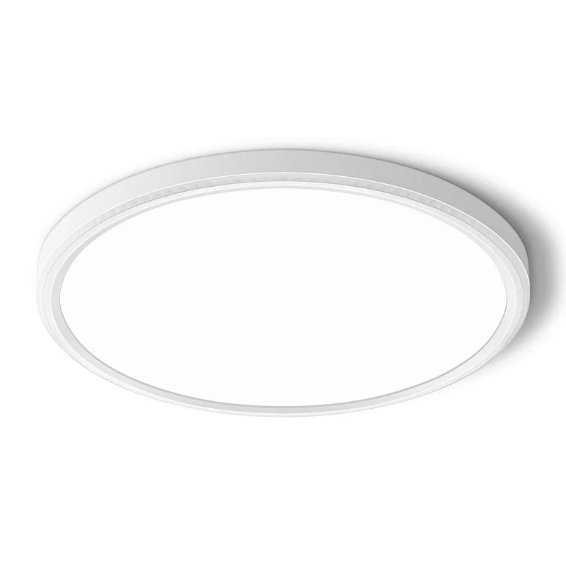 lightsdaddy501859