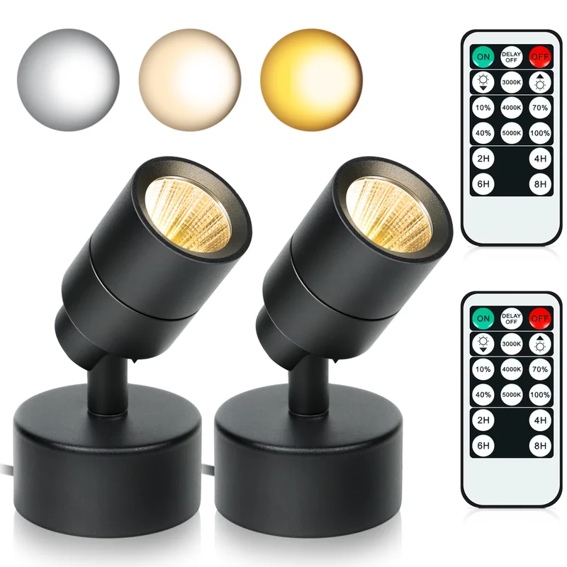 lightsdaddy504696
