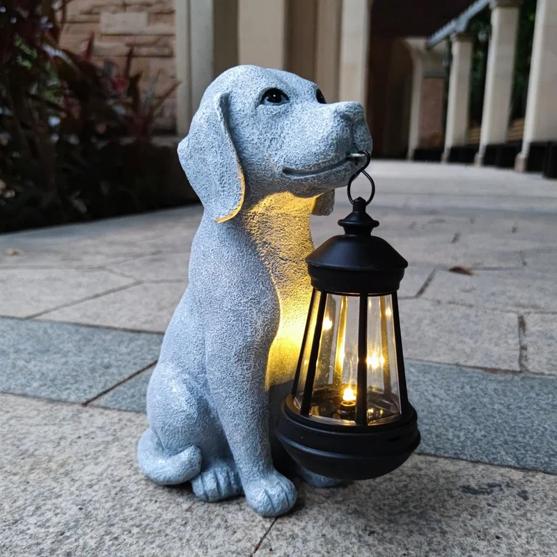lightsdaddy506066