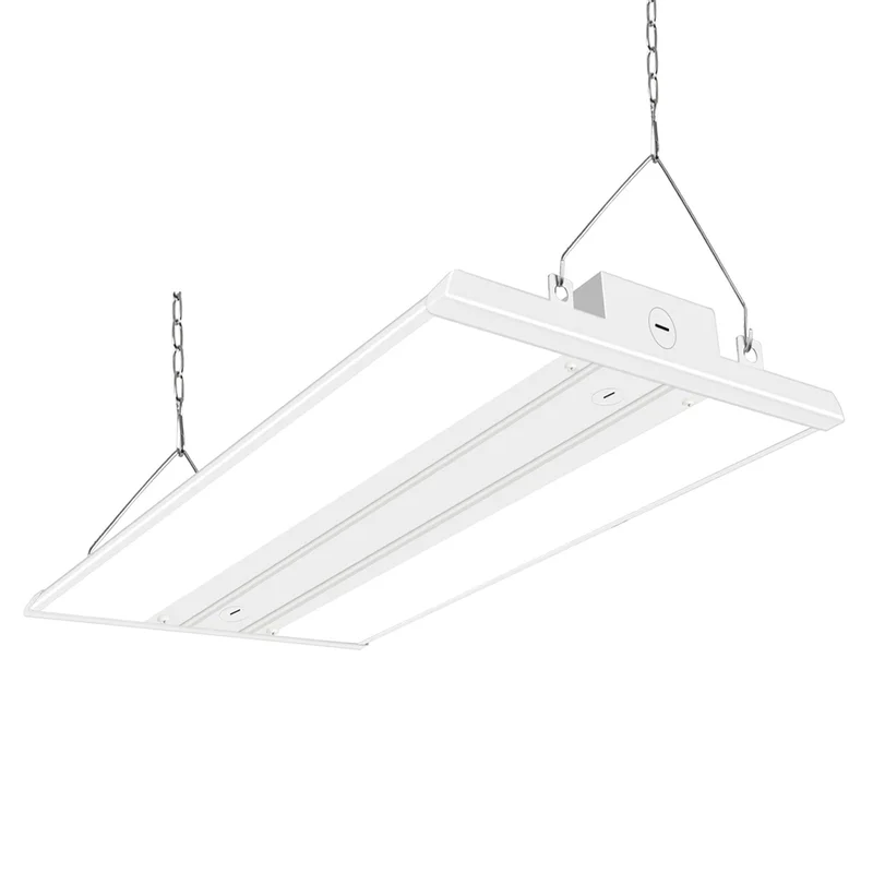 lightsdaddy506897