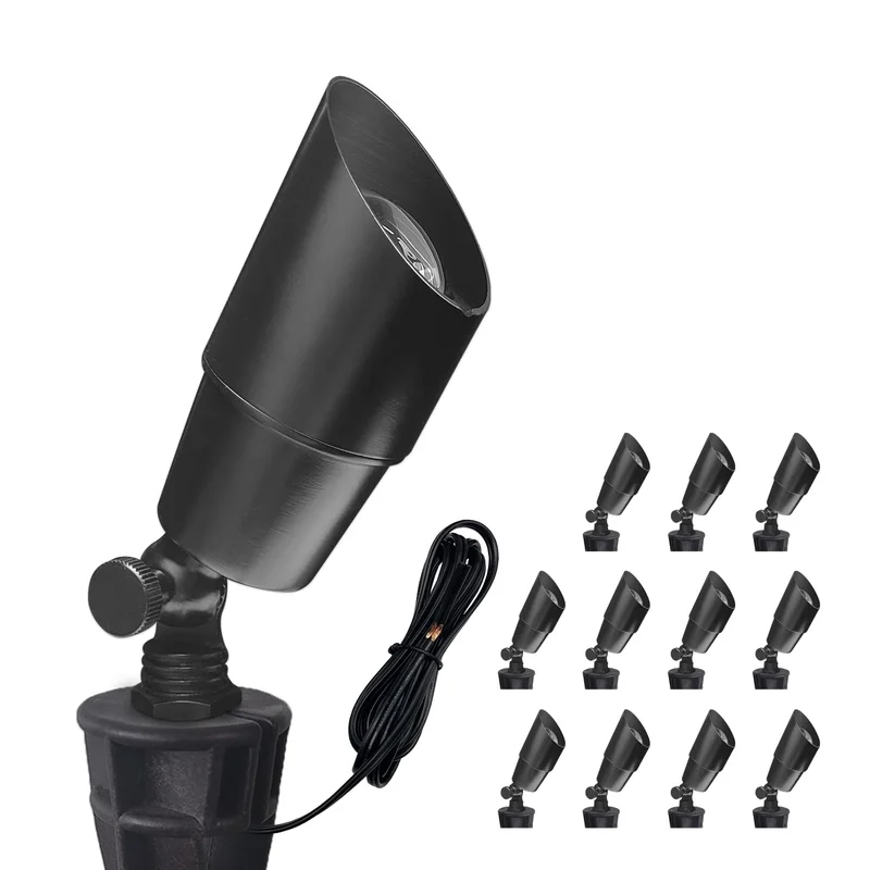 lightsdaddy512009