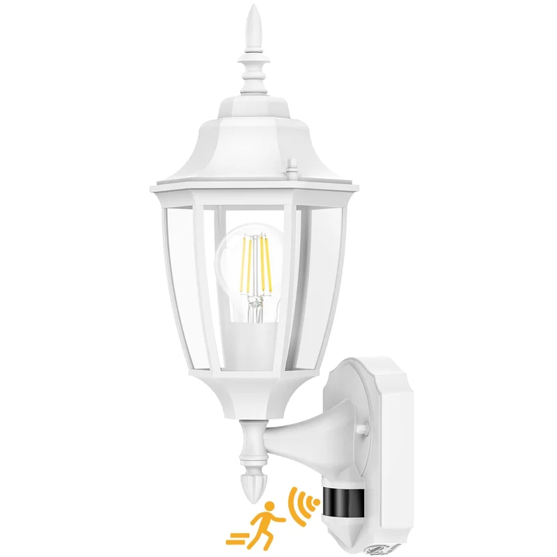 lightsdaddy526460