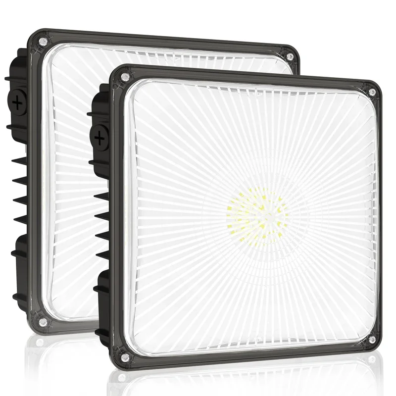 lightsdaddy532148