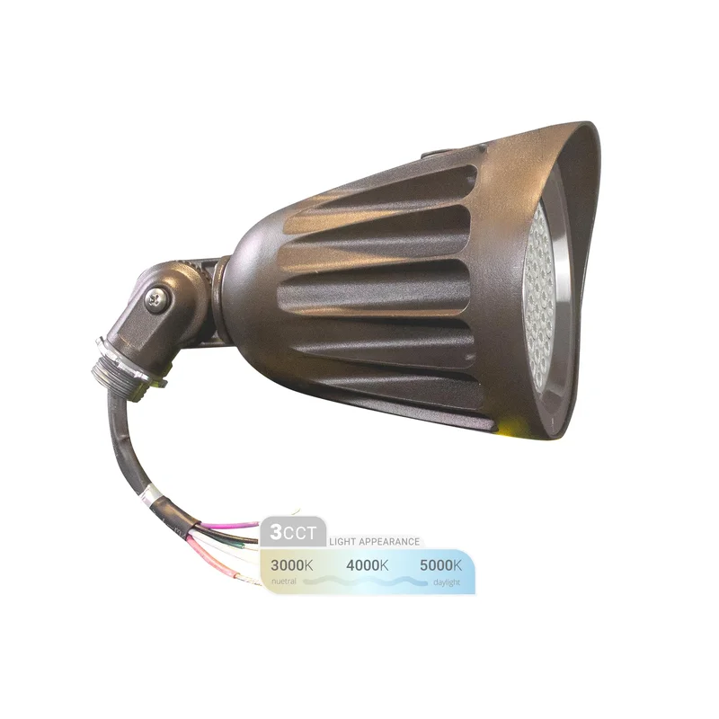 lightsdaddy540808
