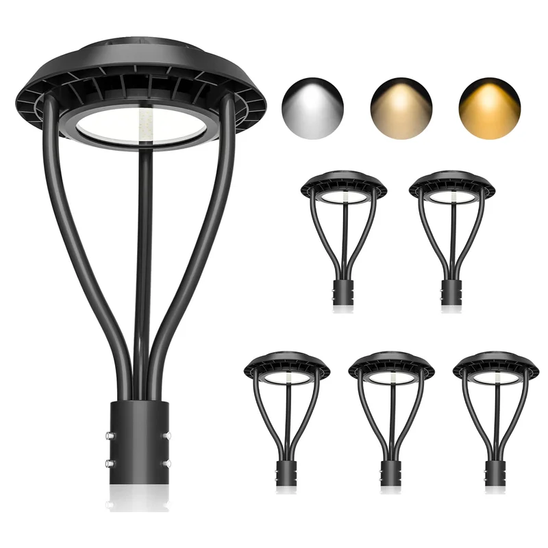 lightsdaddy548628