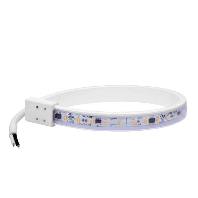 lightsdaddy558652
