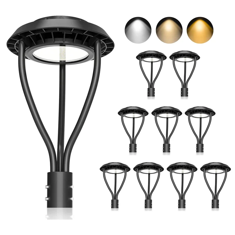 lightsdaddy559284