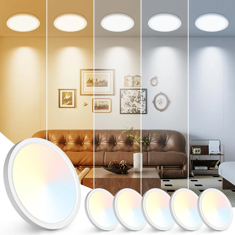 lightsdaddy560638