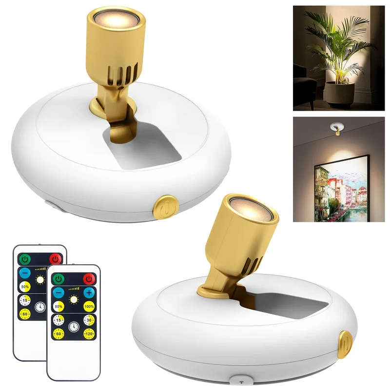 lightsdaddy571627