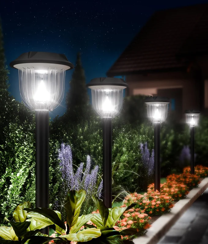 lightsdaddy579241