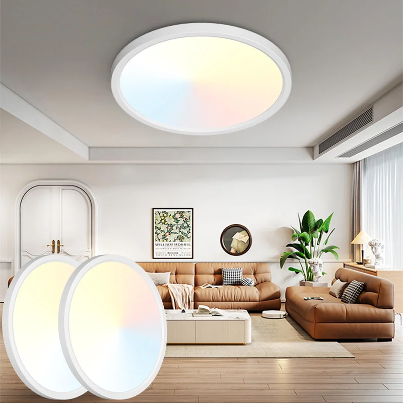 lightsdaddy586337