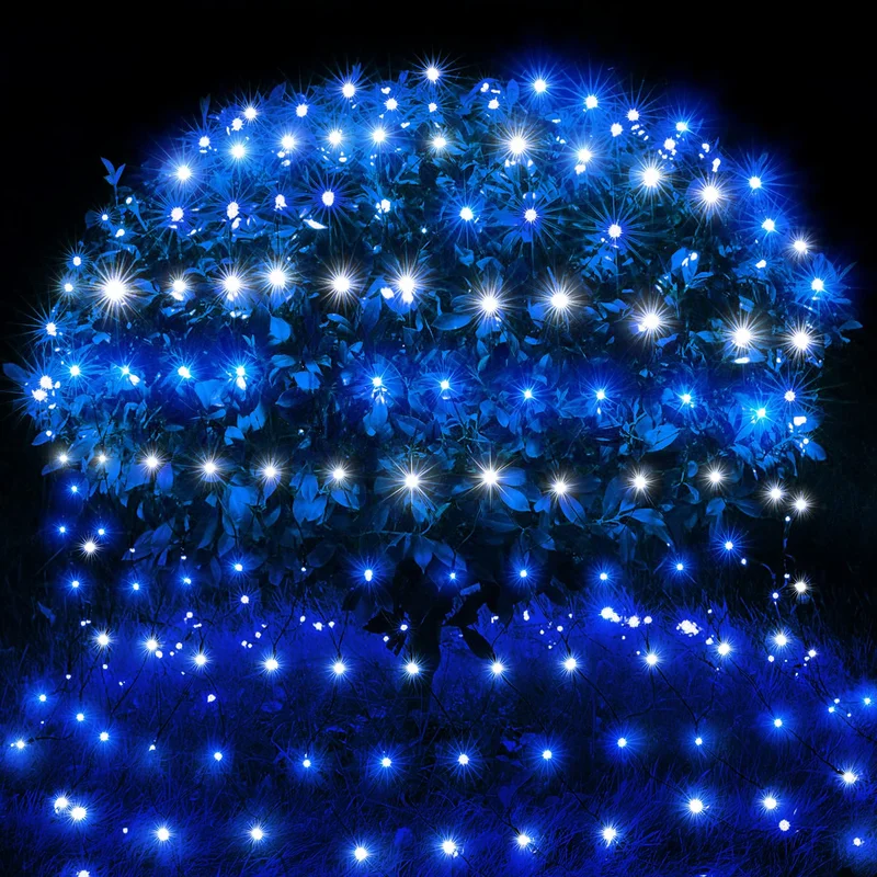 lightsdaddy58846