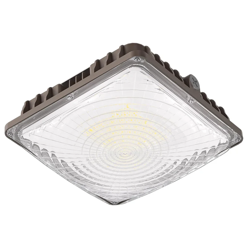 lightsdaddy590741