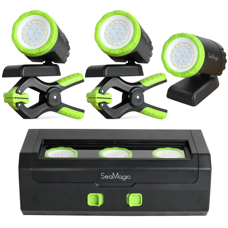 lightsdaddy596931