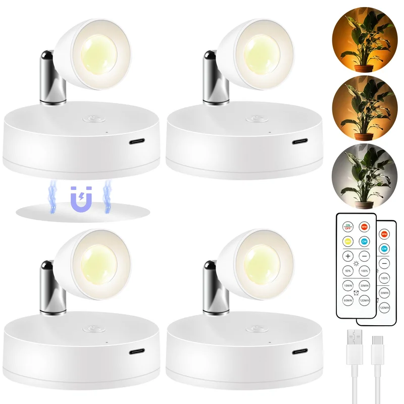 lightsdaddy597422