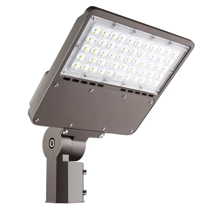 lightsdaddy599152