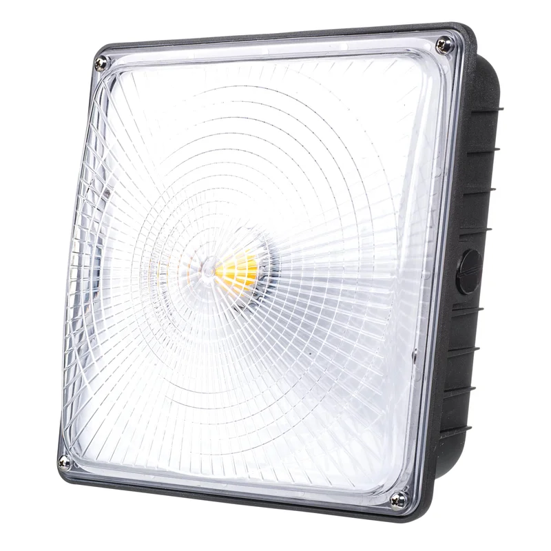 lightsdaddy602146